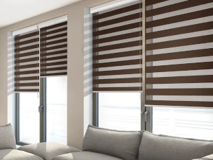 Zebra Blinds